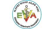 EVA
